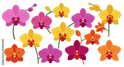 Colorful Orchid Flowers: Pink, Yellow, and Orange Tropical Blooms Illustration