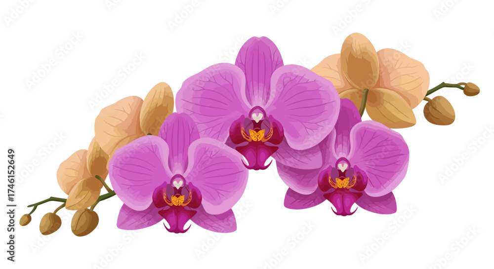 Obraz premium Elegant Orchid Arrangement with Purple and Gold Flowers Illustration