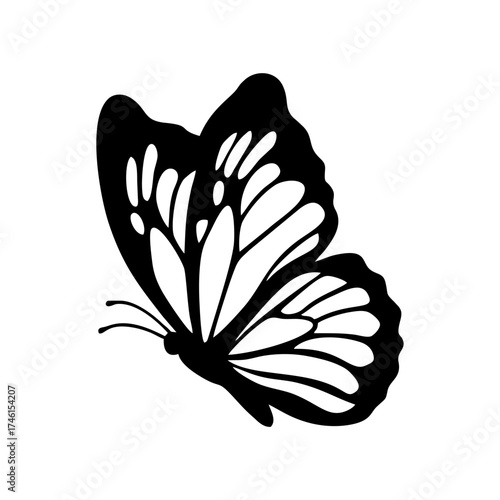 butterfly icon vector design.eps
