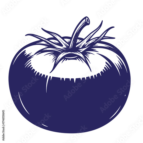 Vintage hand drawn illustration of a ripe tomato with detailed stalk and leaves