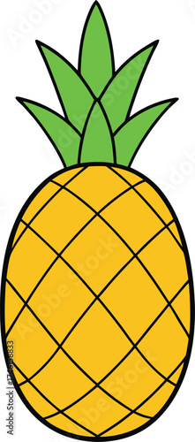 pineapple vector illustration