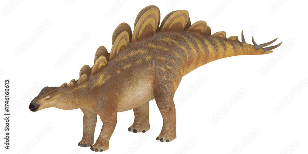 Fototapeta premium Realistic model of a Stegosaurus dinosaur.
