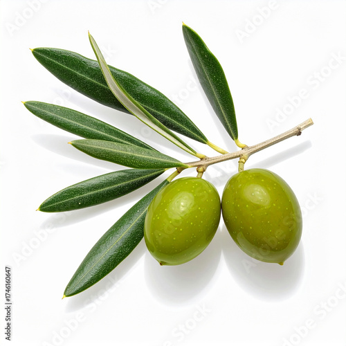 Wallpaper Mural Olive Torontodigital.ca