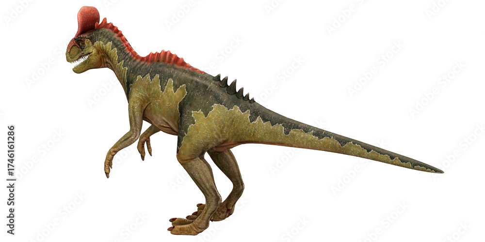 Fototapeta premium Colorful dinosaur with a red crest on a white background.