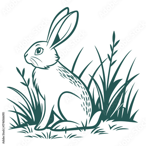 Vector art of the image shows a rabbit sitting in the grass, it is a simple line drawing of a wild animal in nature