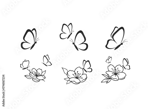 Butterflies and flowers illustration