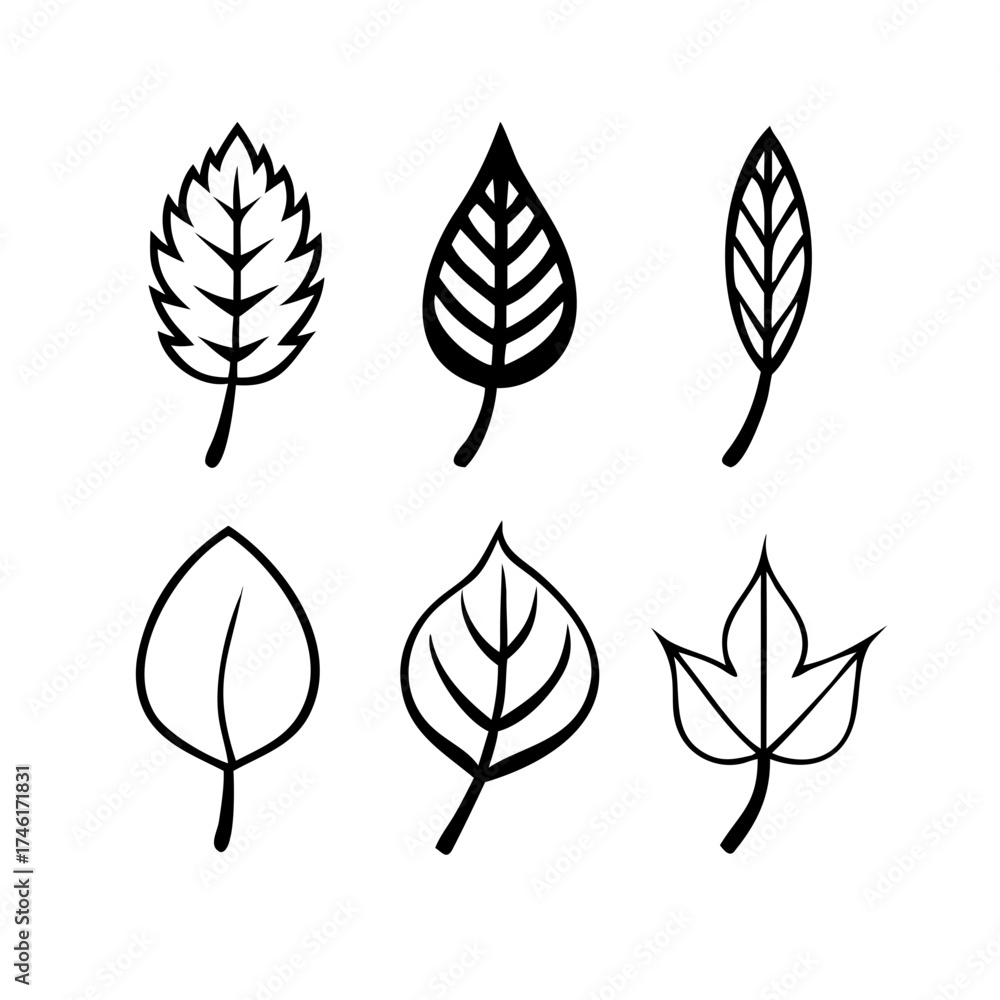 Fototapeta premium Vector art of set of six different leaf icons collection of various leaf shapes, representing different types of trees and plants in simple line art