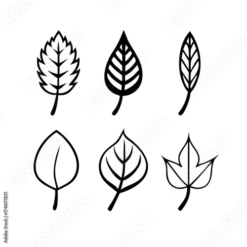 Vector art of set of six different leaf icons collection of various leaf shapes, representing different types of trees and plants in simple line art