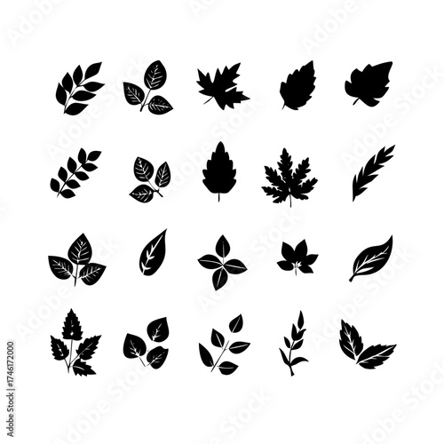 Vector art of set of twenty leaf silhouettes, featuring various shapes and styles, ideal for naturethemed designs and botanical illustrations