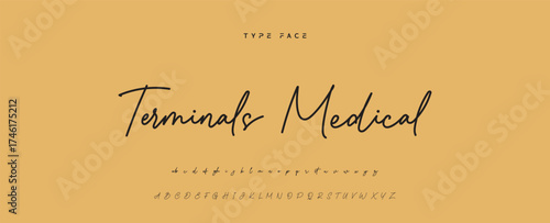 Hand drawn vector alphabet. Modern monoline signature script font. Elegant Signature Font. Best Alphabet Beautiful Calligraphy Signature Font