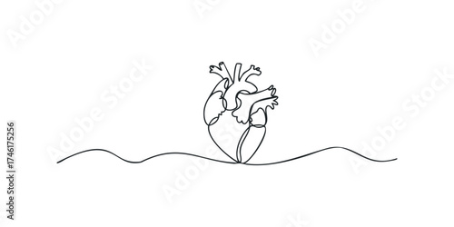 Single line drawing of human heart symbol