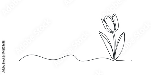 Continuous Line Drawing of a Single Tulip Flower