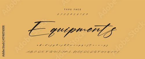 Hand drawn vector alphabet. Modern monoline signature script font. Elegant Signature Font. Best Alphabet Beautiful Calligraphy Signature Font