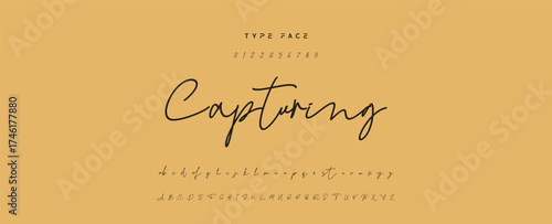 Hand drawn vector alphabet. Modern monoline signature script font. Elegant Signature Font. Best Alphabet Beautiful Calligraphy Signature Font