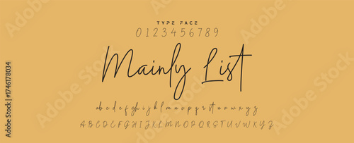 Hand drawn vector alphabet. Modern monoline signature script font. Elegant Signature Font. Best Alphabet Beautiful Calligraphy Signature Font