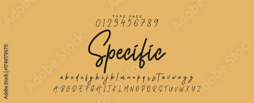 Hand drawn vector alphabet. Modern monoline signature script font. Elegant Signature Font. Best Alphabet Beautiful Calligraphy Signature Font