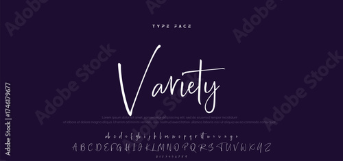 Hand drawn vector alphabet. Modern monoline signature script font. Elegant Signature Font. Best Alphabet Beautiful Calligraphy Signature Font