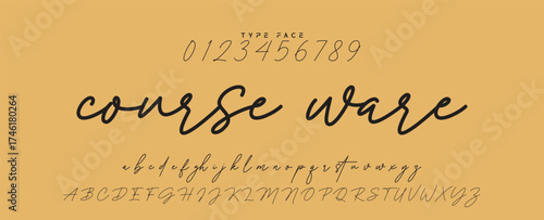 Handwritten Font Calligraphy Logotype Script Font Type Font lettering handwritten, Illustration vector, for design