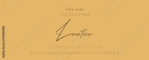 Handwritten Font Calligraphy Logotype Script Font Type Font lettering handwritten, Illustration vector, for design