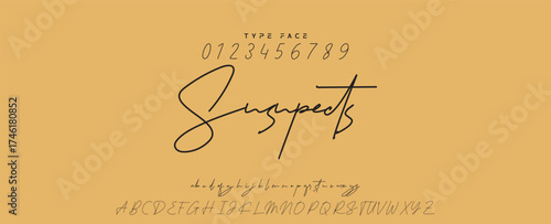 Handwritten Font Calligraphy Logotype Script Font Type Font lettering handwritten, Illustration vector, for design