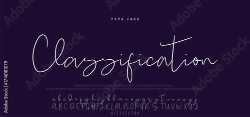 Handwritten Font Calligraphy Logotype Script Font Type Font lettering handwritten, Illustration vector, for design