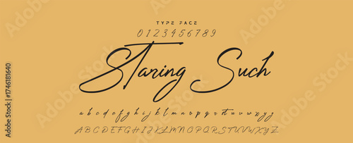 Handwritten Font Calligraphy Logotype Script Font Type Font lettering handwritten, Illustration vector, for design