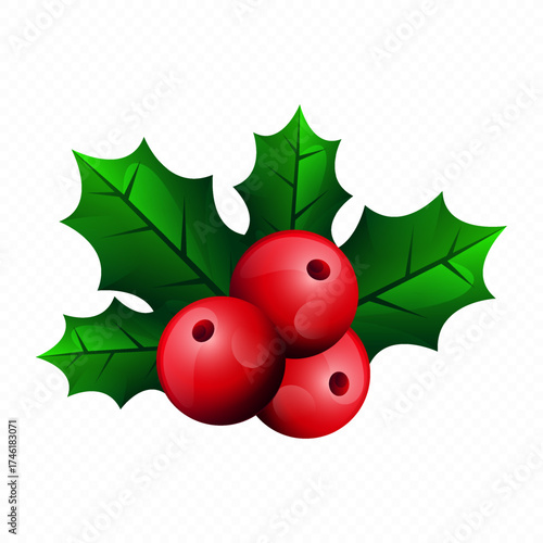 Christmas Holly and Red Berries Illustration for Winter Holiday Decoration