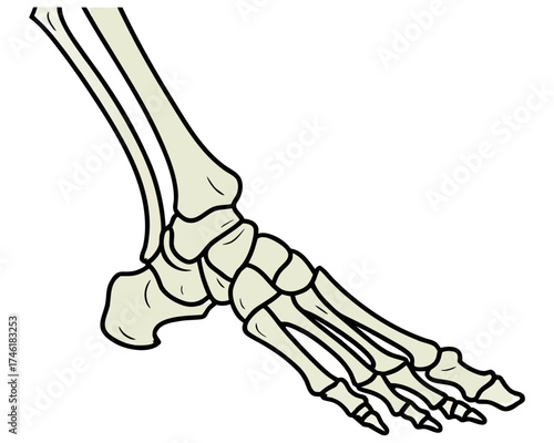 Illustration of a detailed cell structure, showcasing various organelles and components within the cell.