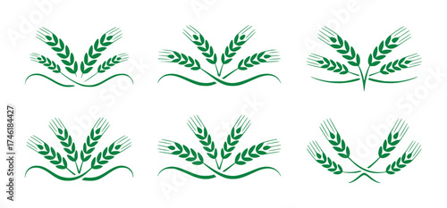 Green Wheat Stalk Emblems and Flourishes - Agricultural Icons