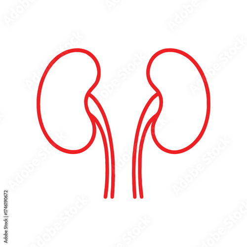 Human kidneys one line continuous drawing. Human organ continuous one line illustration. Vector minimalist linear illustration.