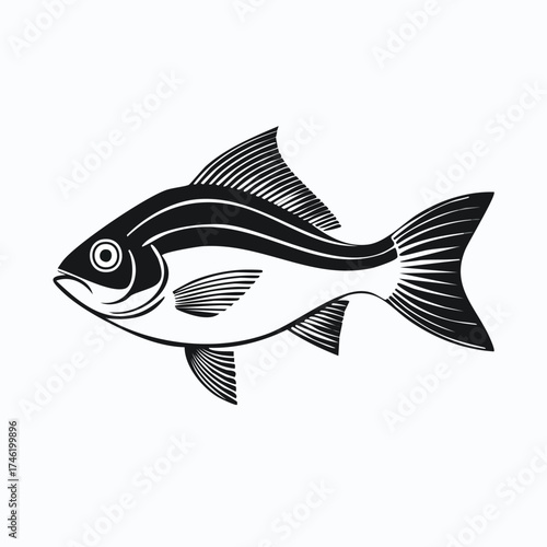 fish vector illustration