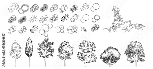 CAD Drawings. Minimal style cad tree line side view, set of graphics trees elements outline symbol for architecture and landscape design drawing. Vector illustration.
