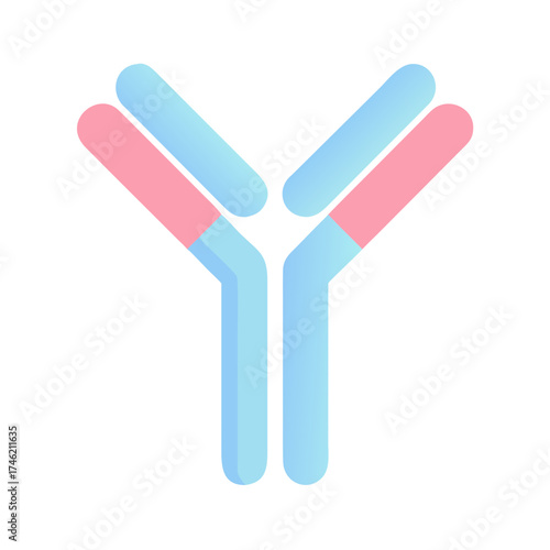 An Illustrated Antibody in a Y-shaped Configuration