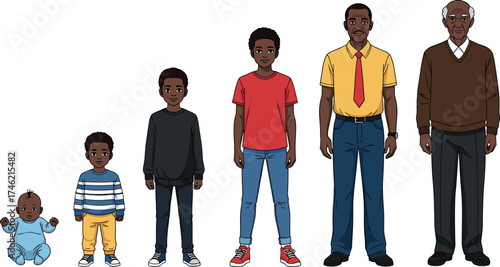 Human growth stages, age progression illustration, male development, childhood to elderly, life cycle, aging concept, educational vector, generational change, character design