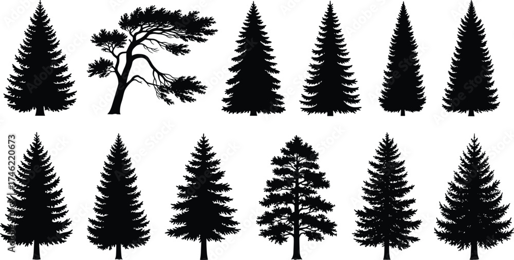 Fototapeta premium Conifer tree silhouette vector set with diverse evergreen shapes and branching styles for nature, forest, landscape, and botanical design use