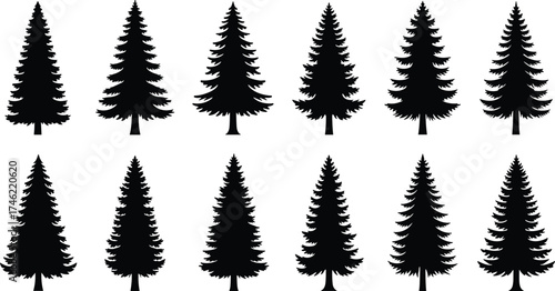 Conifer tree silhouette vector set featuring diverse pine and fir shapes for nature, forest, landscape, winter, and decorative design use