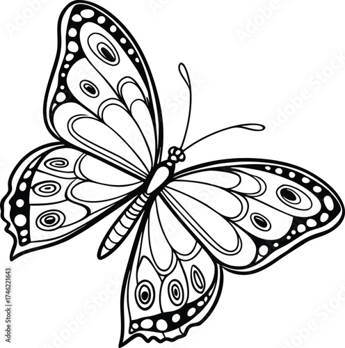 Black White Beauty Takes Flight