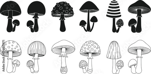 Stylized mushroom silhouettes and outlines in grouped pairs, botanical vector for nature study, fungi design, forest art, and illustration