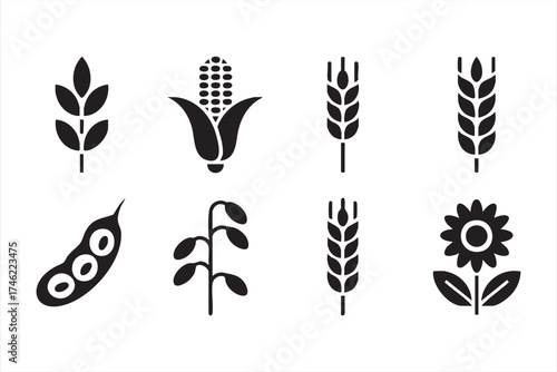 Agriculture vector collection — wheat, soybean, and corn symbols for sustainability