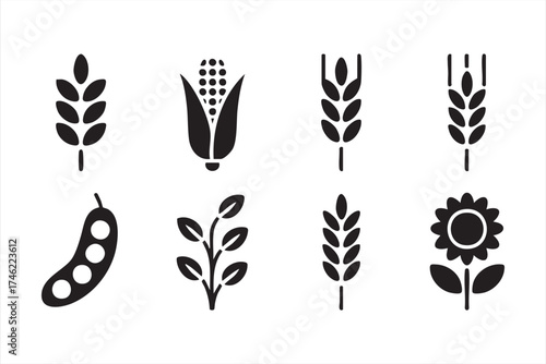 Agriculture crop and plant vector icons — corn, wheat, and sunflower illustrations