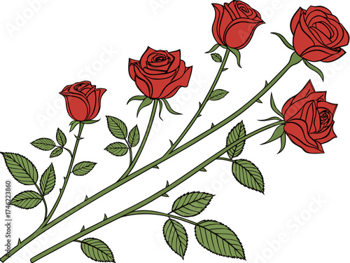 Five vibrant red roses with green leaves and thorny stems arranged diagonally, showcasing various stages of bloom on a white background.