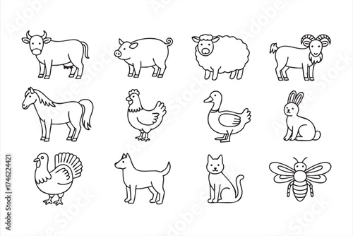 Agriculture vector pack featuring cow, pig, chicken, and rabbit illustrations