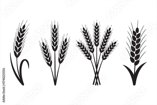 Simple wheat stalk illustrations for natural food design and rural agriculture themes