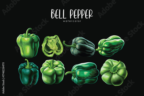 Green Bell Pepper Set Watercolor Vegetable Illustration Fresh Organic Food Clipart Perfect for recipe books, healthy food packaging