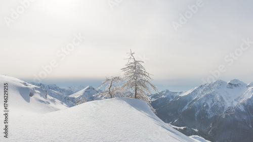 A winter landscape in the mountains