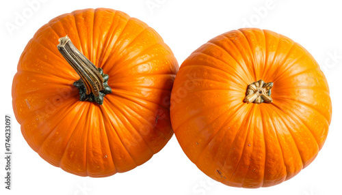 Wallpaper Mural Close-Up and Full Top View of Orange Pumpkins, isolated on transparent background Torontodigital.ca