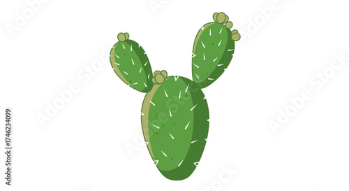Green prickly pear cactus with two pads on top.