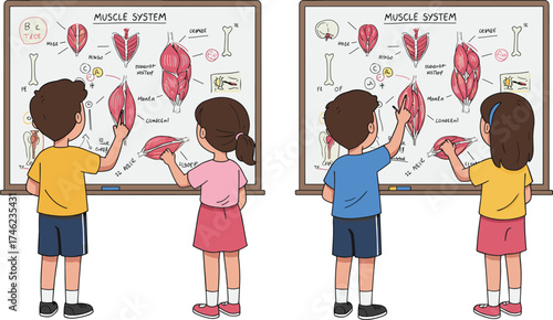 Children learning muscle system, anatomy diagram activity, labeled body parts, classroom science, cartoon illustration, educational project, bones and muscles