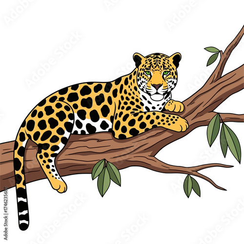 Jaguar resting on a tree branch in the jungle.