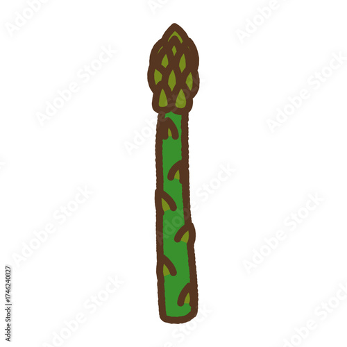 手書き風のアイコン　アスパラガス